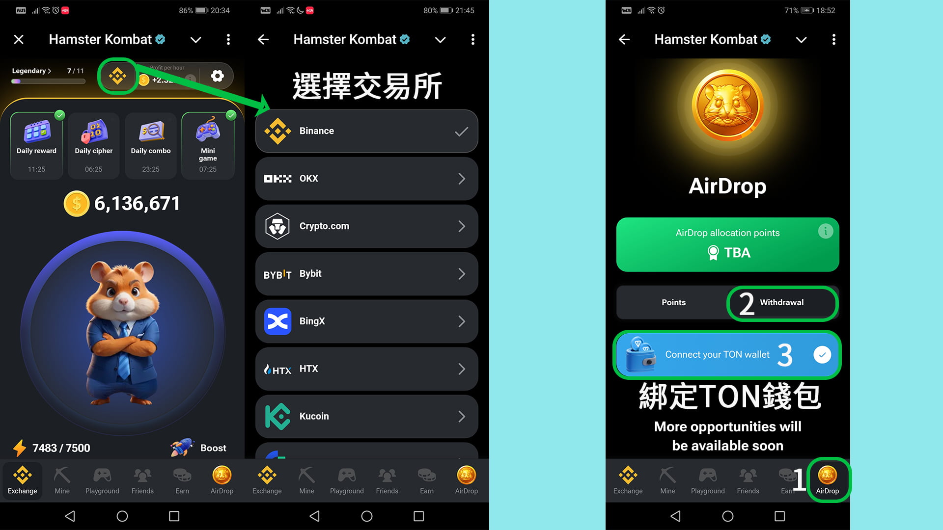 Hamster Kombat 倉鼠快打遊戲前必完的設定
